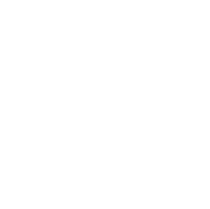 logo-reis
